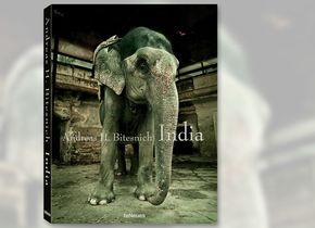 Andreas H. Bitesnich: India